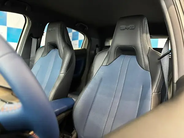 BYD Dolphin Mini - Imagem 20