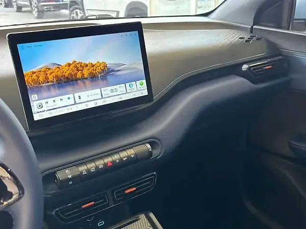 BYD Dolphin Mini - Imagem 10