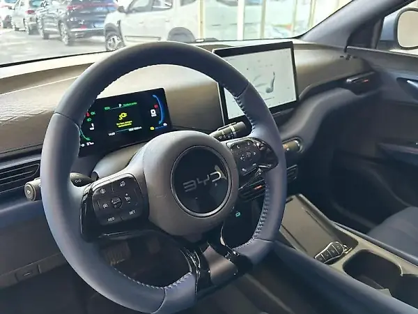 BYD Dolphin Mini - Imagem 8