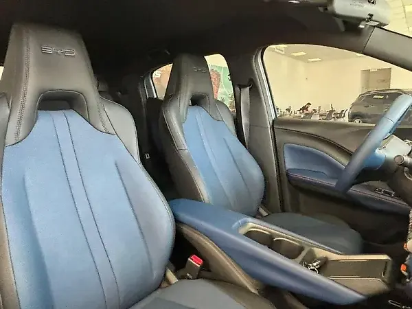 BYD Dolphin Mini - Imagem 13