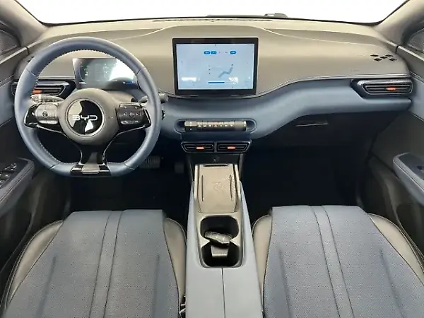 BYD Dolphin Mini - Imagem 13