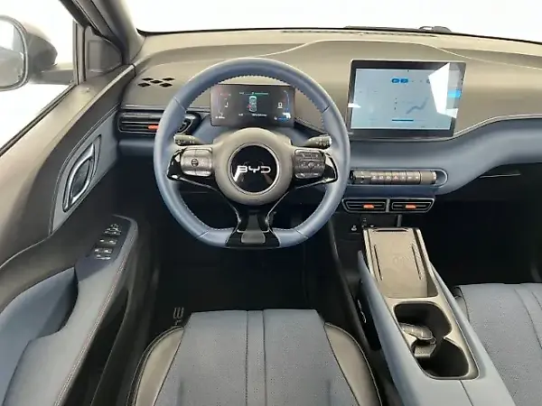 BYD Dolphin Mini - Imagem 14