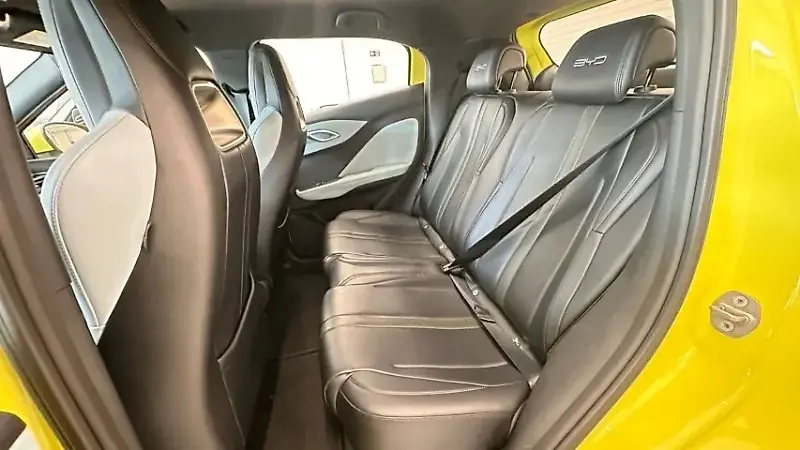 BYD Dolphin Mini - Imagem 8