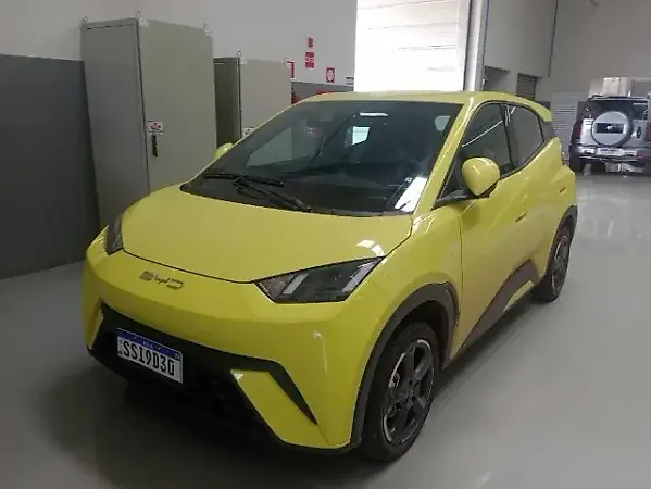 BYD Dolphin Mini - Imagem 1