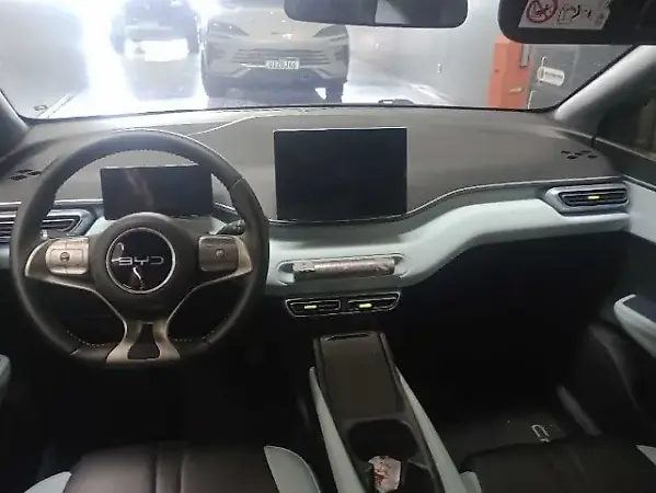 BYD Dolphin Mini - Imagem 6