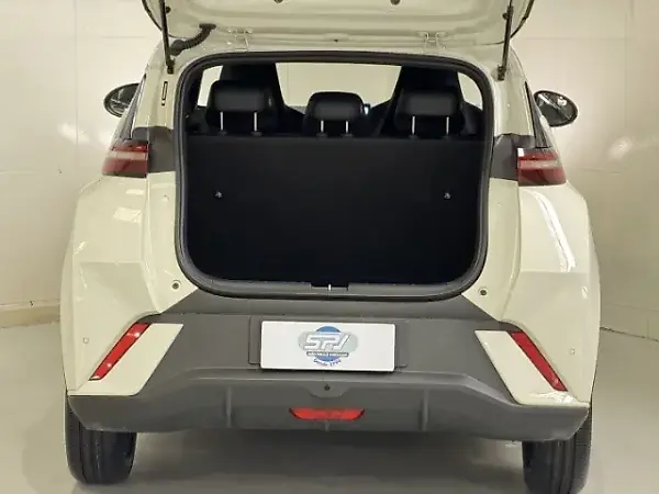 BYD Dolphin Mini - Imagem 19