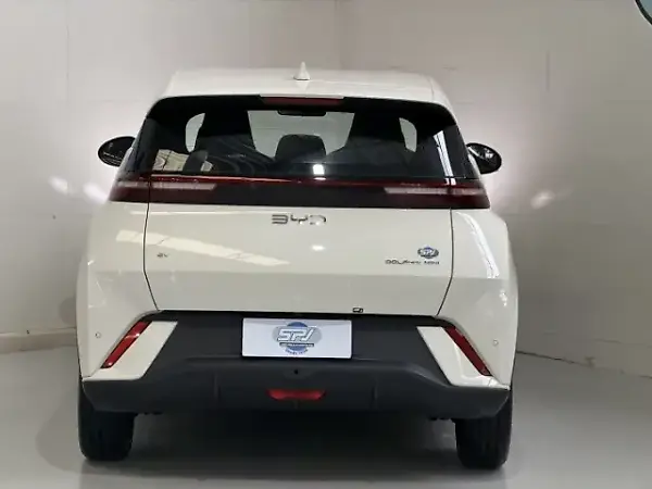 BYD Dolphin Mini - Imagem 17