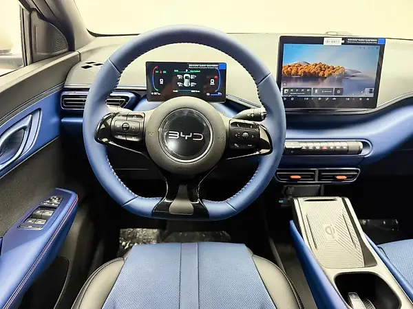 BYD Dolphin Mini - Imagem 11