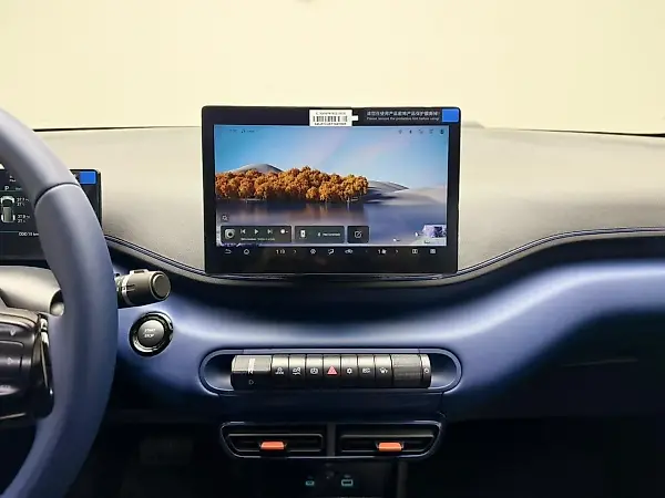 BYD Dolphin Mini - Imagem 16