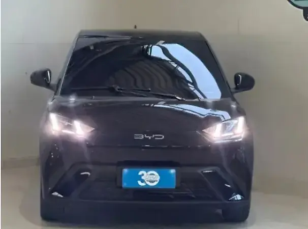 BYD Dolphin Mini - Imagem 1