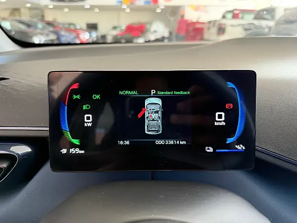 BYD Dolphin Mini - Imagem 9