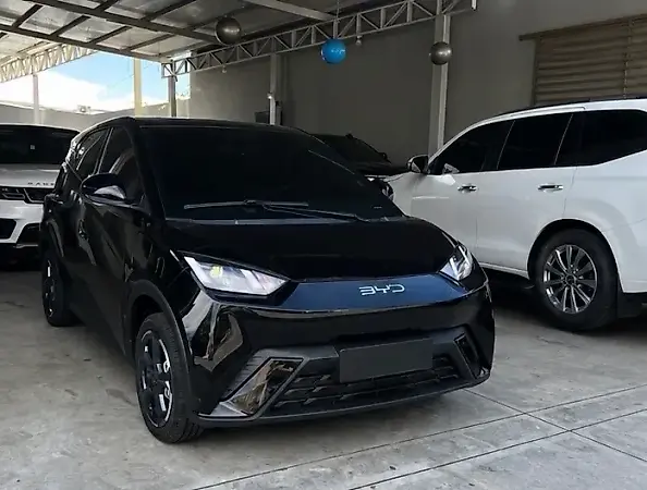 BYD Dolphin Mini - Imagem 1