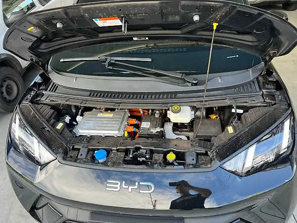 BYD Dolphin Mini - Imagem 6