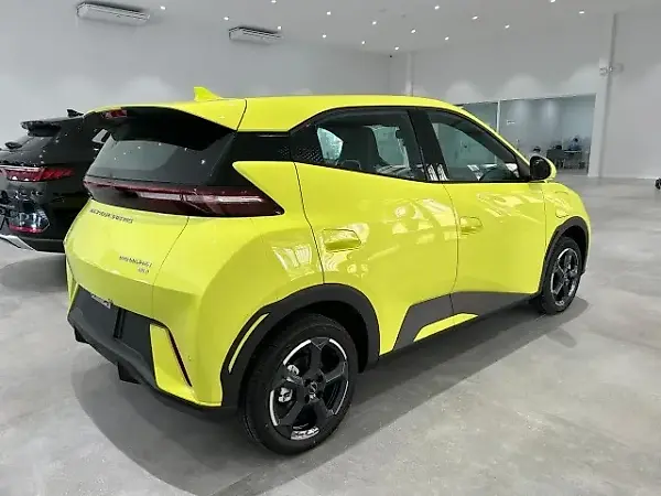 BYD Dolphin Mini - Imagem 9