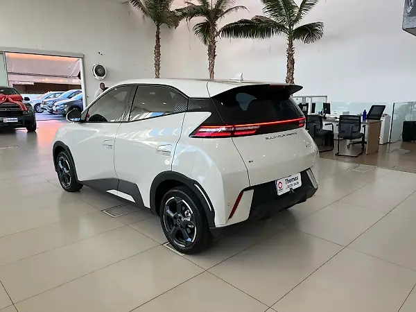 BYD Dolphin Mini - Imagem 6