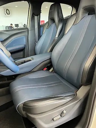 BYD Dolphin Mini - Imagem 11