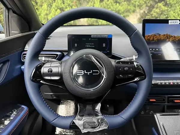 BYD Dolphin Mini - Imagem 15