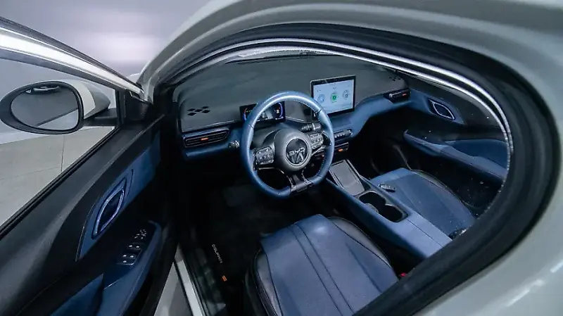 BYD Dolphin Mini - Imagem 14