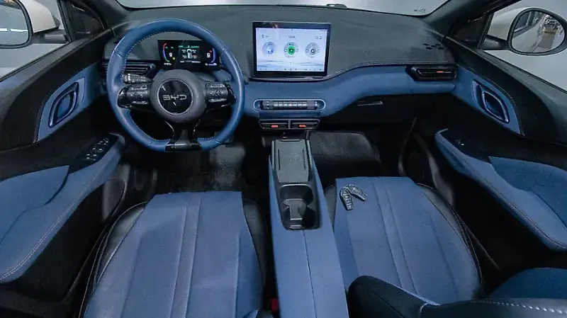 BYD Dolphin Mini - Imagem 15