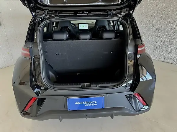 BYD Dolphin Mini - Imagem 9