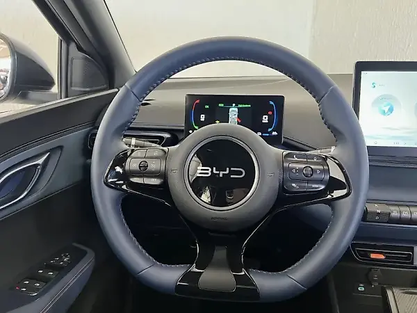 BYD Dolphin Mini - Imagem 13