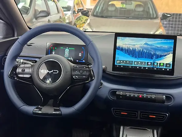 BYD Dolphin Mini - Imagem 7