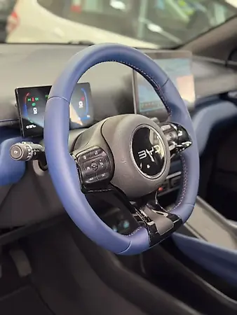 BYD Dolphin Mini - Imagem 13