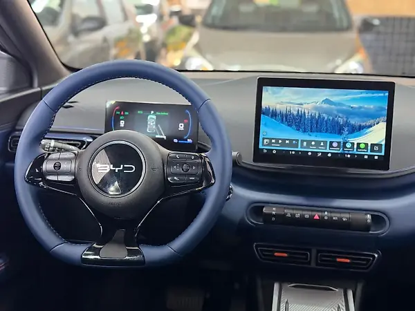 BYD Dolphin Mini - Imagem 16