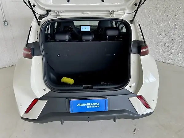 BYD Dolphin Mini - Imagem 11