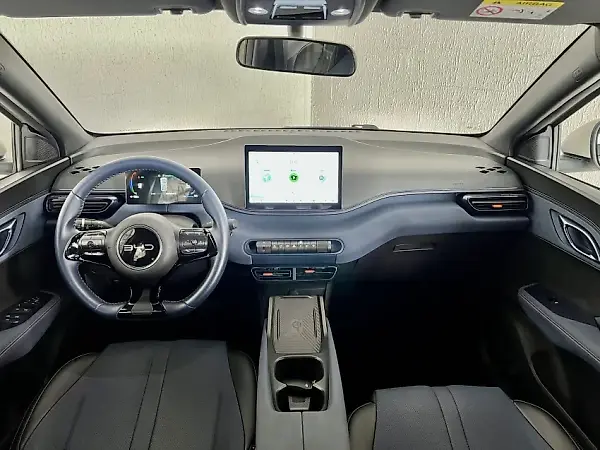 BYD Dolphin Mini - Imagem 14