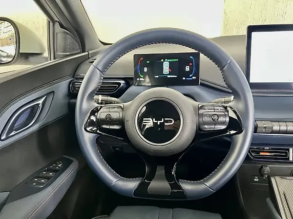 BYD Dolphin Mini - Imagem 16