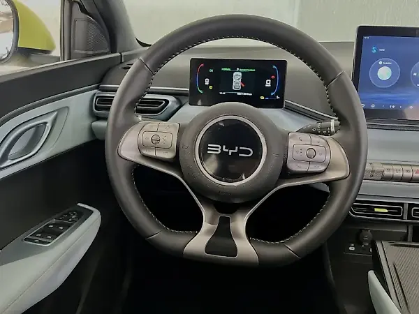 BYD Dolphin Mini - Imagem 15