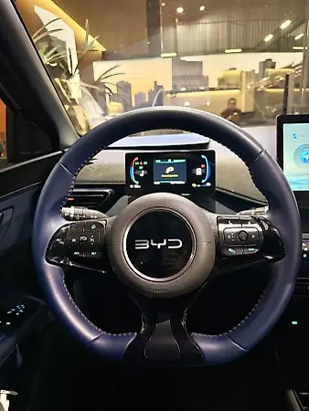 BYD Dolphin Mini - Imagem 10