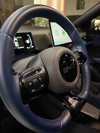BYD Dolphin Mini - Imagem 11