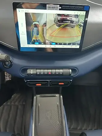 BYD Dolphin Mini - Imagem 9