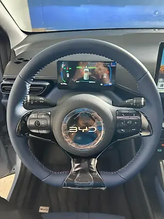 BYD Dolphin Mini - Imagem 13
