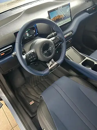 BYD Dolphin Mini - Imagem 12