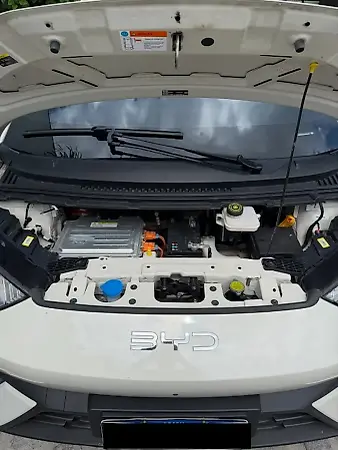 BYD Dolphin Mini - Imagem 6