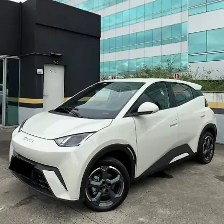 BYD Dolphin Mini - Imagem 10