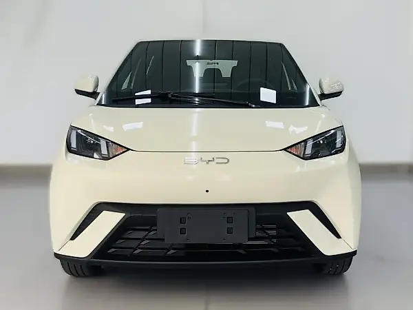 BYD Dolphin Mini - Imagem 2