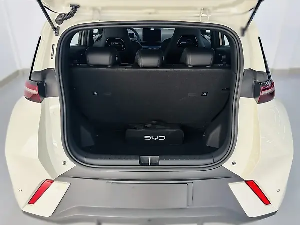 BYD Dolphin Mini - Imagem 17