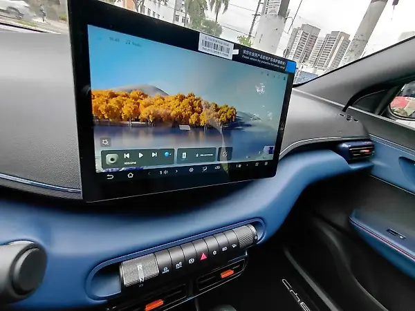 BYD Dolphin Mini - Imagem 16