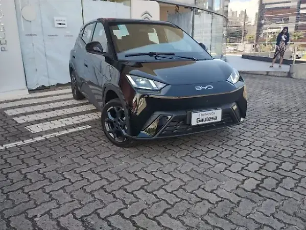 BYD Dolphin Mini - Imagem 2