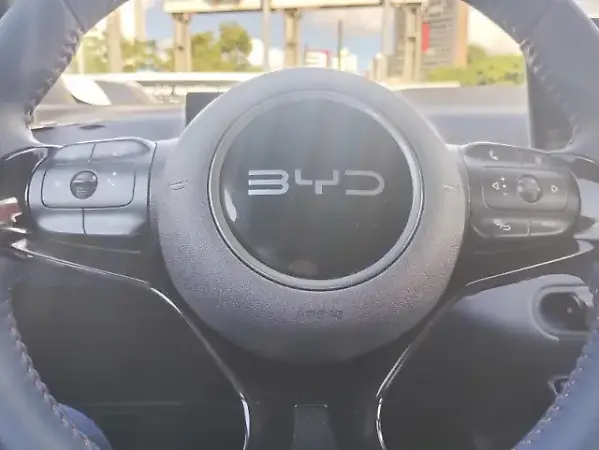 BYD Dolphin Mini - Imagem 11