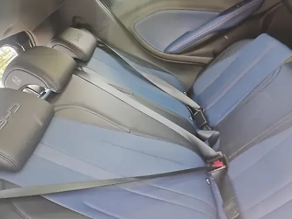 BYD Dolphin Mini - Imagem 16