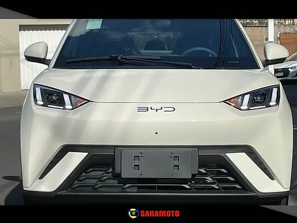 BYD Dolphin Mini - Imagem 20