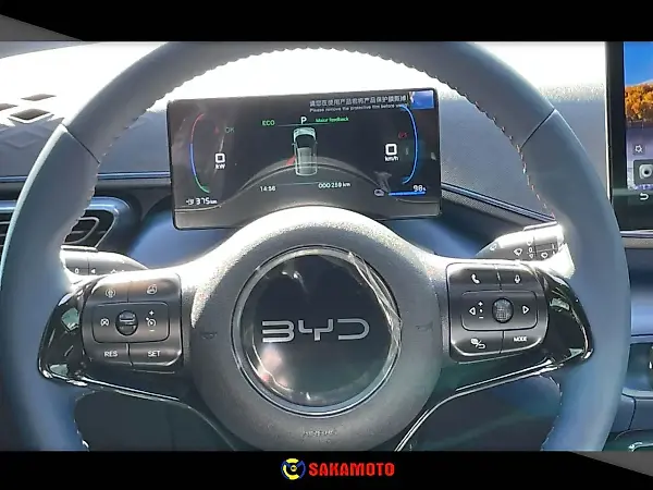BYD Dolphin Mini - Imagem 9