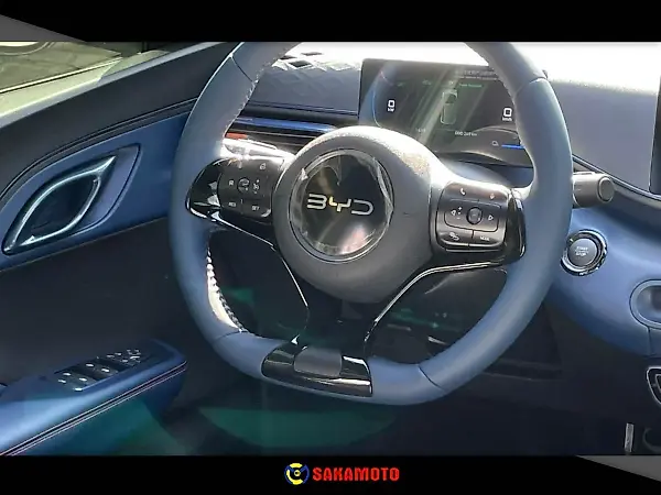 BYD Dolphin Mini - Imagem 11