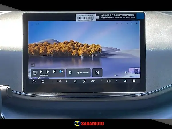 BYD Dolphin Mini - Imagem 10
