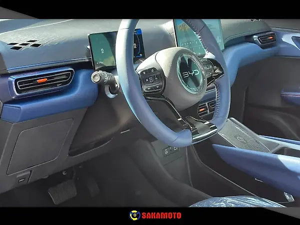 BYD Dolphin Mini - Imagem 13